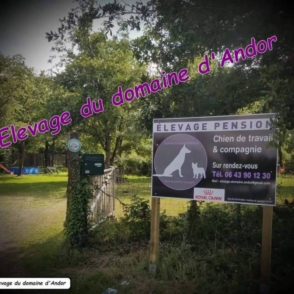 Domaine d'Andor 
