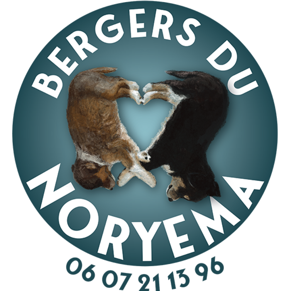 Bergers du Noryema 