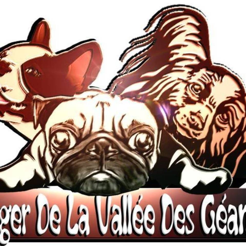 Du berger de la vallée des géants
