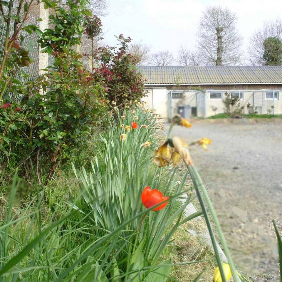 Pension à la ferme