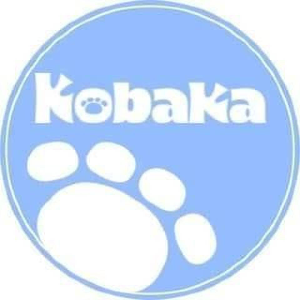 Kobaka