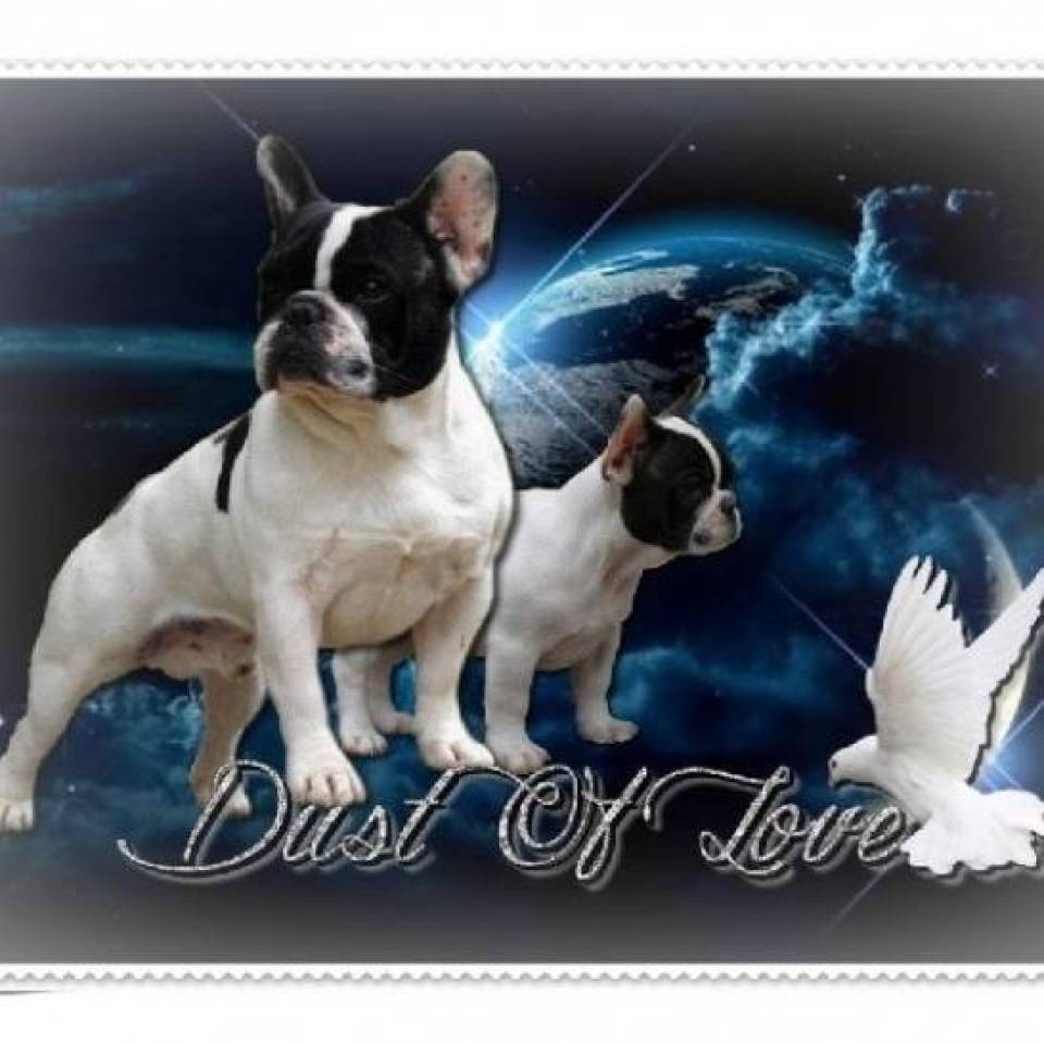 Dust of Love