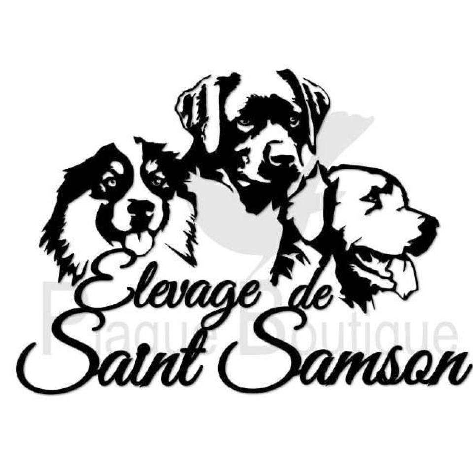 De la Vallée de Saint Samson 