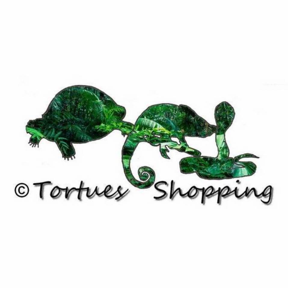 Tortues shopping 