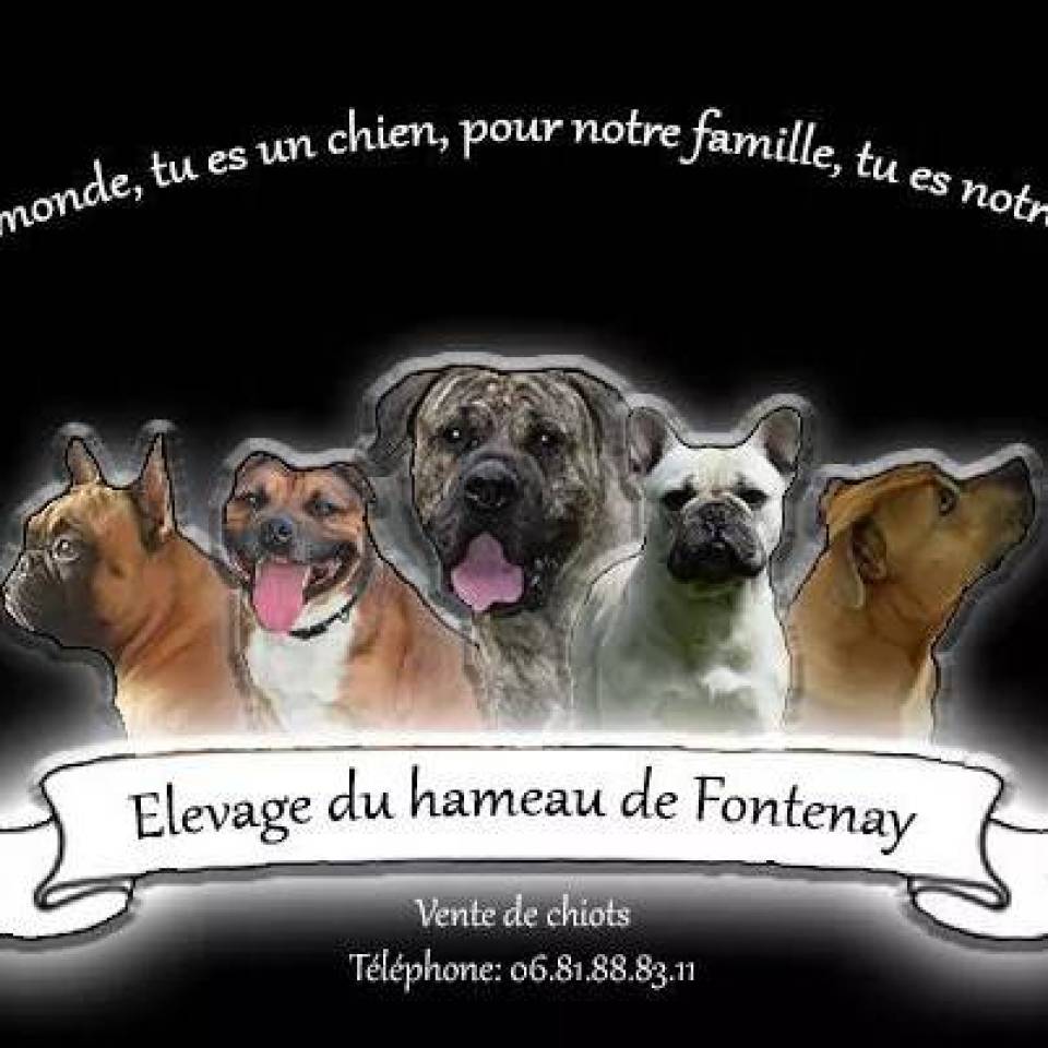 Du Hameau de Fontenay
