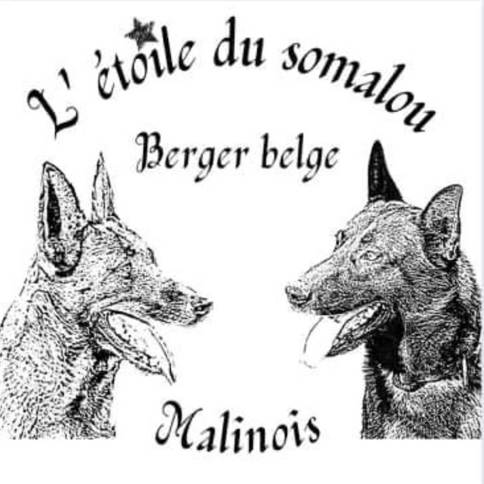 L'étoile du Somalou
