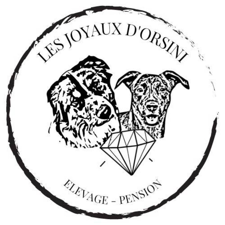 Des Joyaux D'Orsini