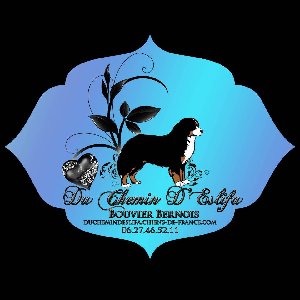 Du Chemin D'Eslifa