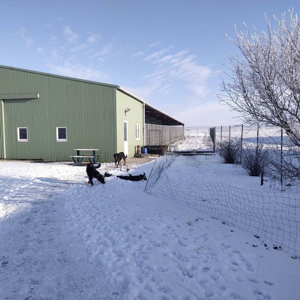 Ferme Pension les Milles Pattes