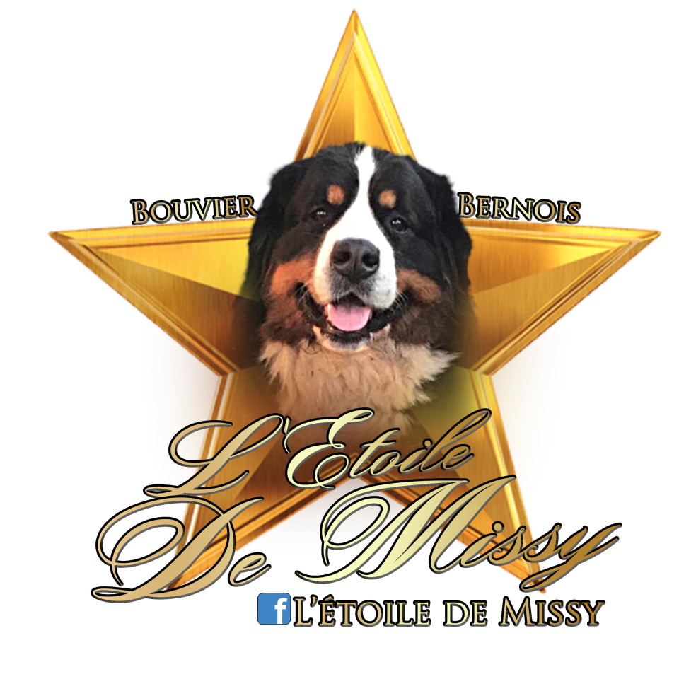L’étoile de Missy