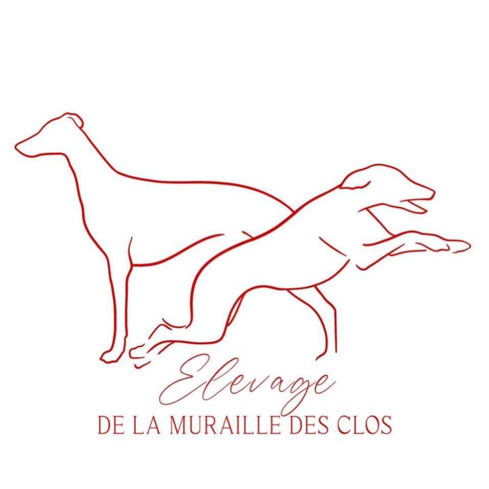 De la Muraille des Clos