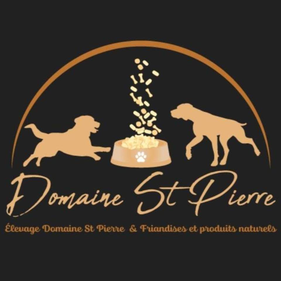 Domaine de saint Pierre et bien-être de nos compagnons 