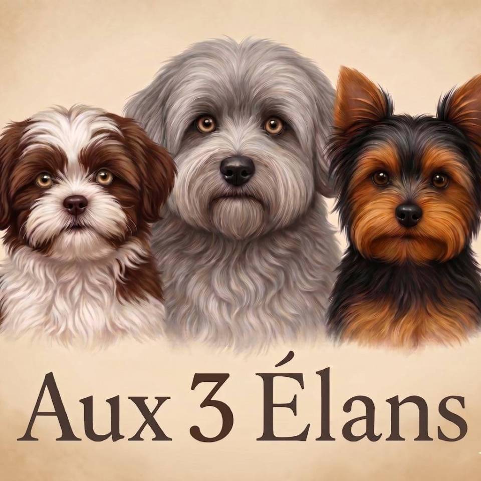 Aux trois élans 