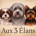 Aux trois élans 