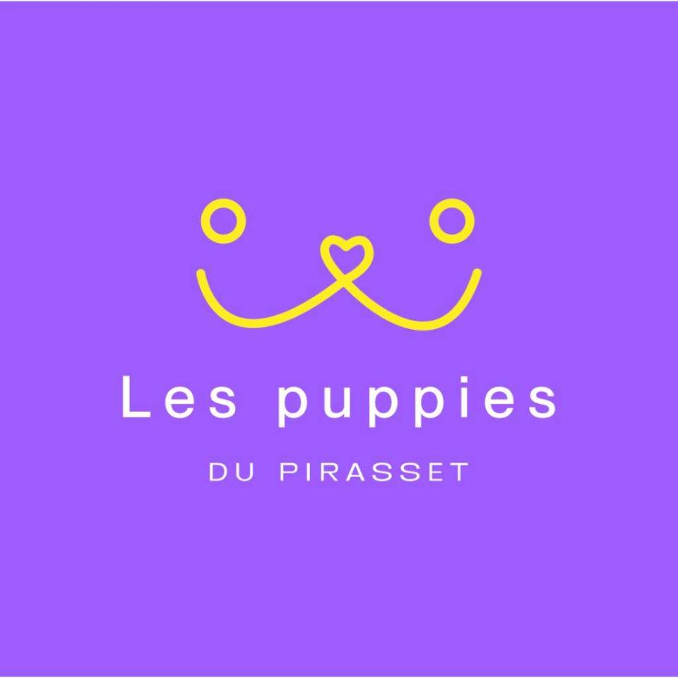 Élevage canin Les Puppies du Pirasset 
