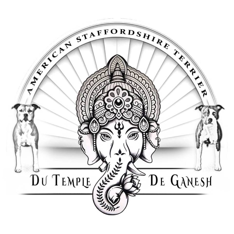 Du Temple de Ganesh