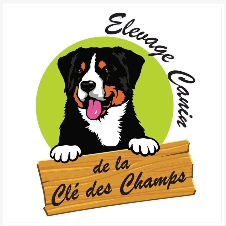 Royaume canin de la clé des champs