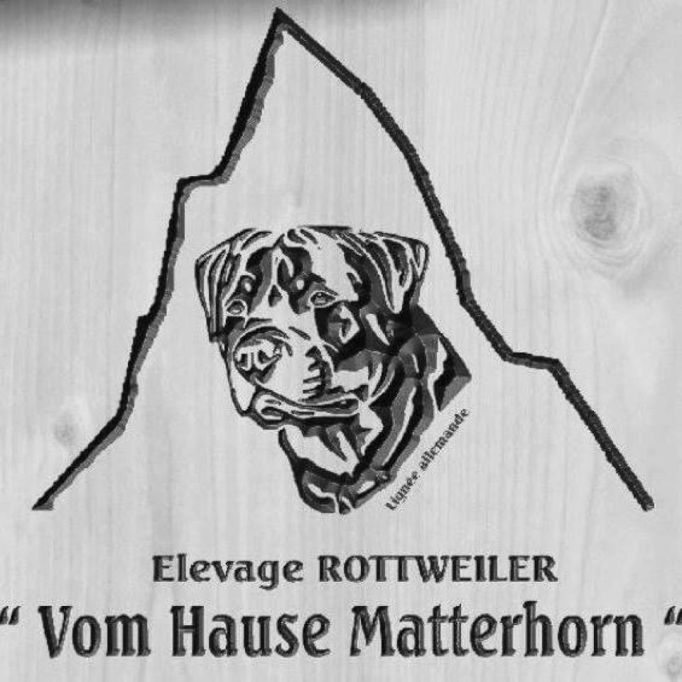 Vom Hause Matterhorn