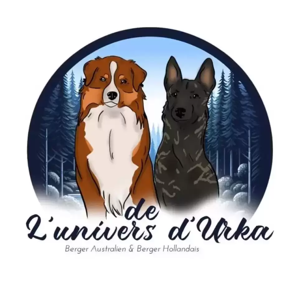 Elevage de l’Univers d’Urka 