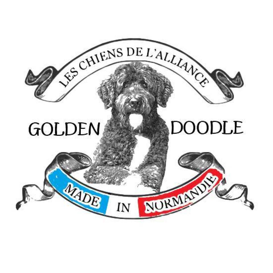 Les Chiens de l'Alliance