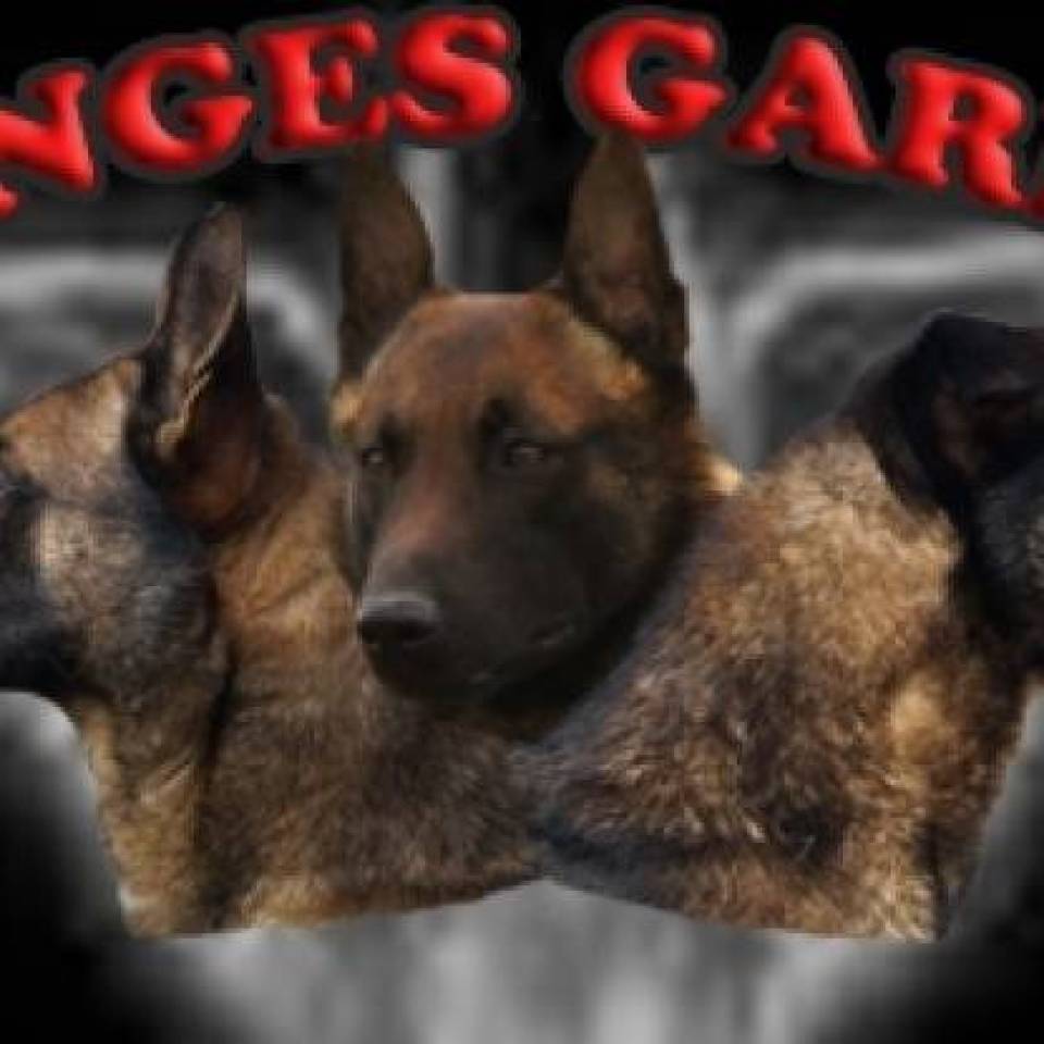Les Anges Gardiens