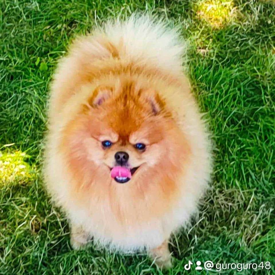 Buka@mimi