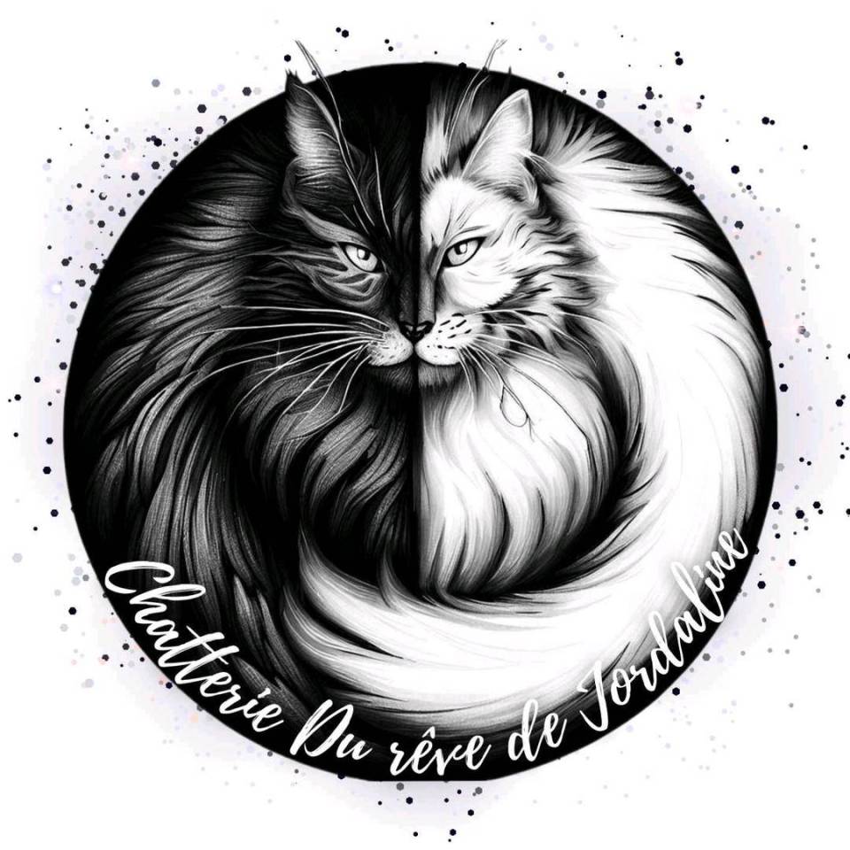 Chatterie du Rêve de Jordaline