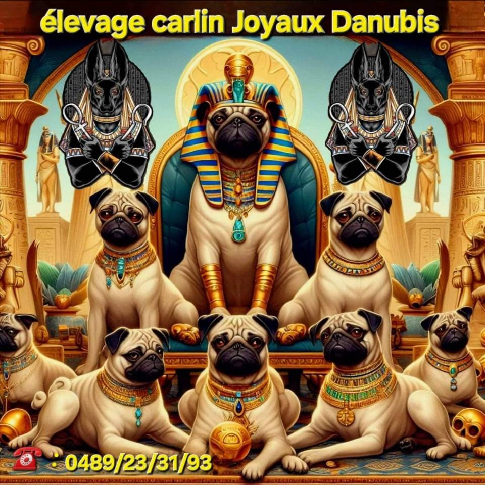 Joyaux Danubis 