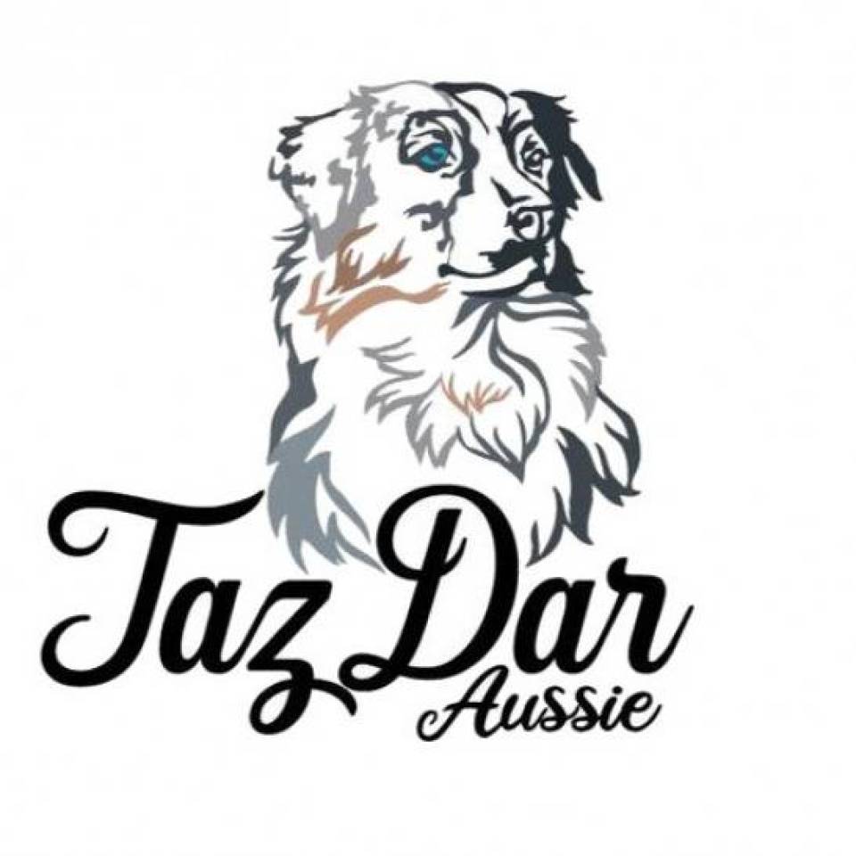 TazDar Aussie