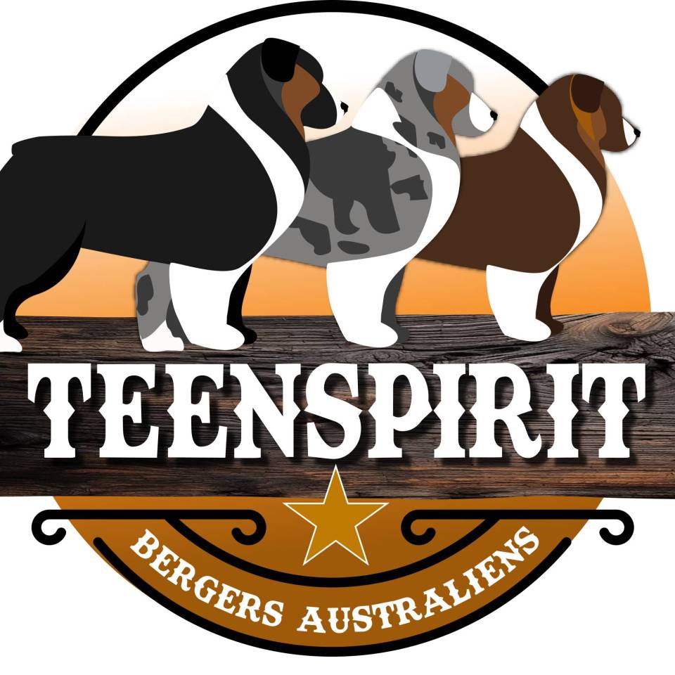 Élevage Teenspirit 