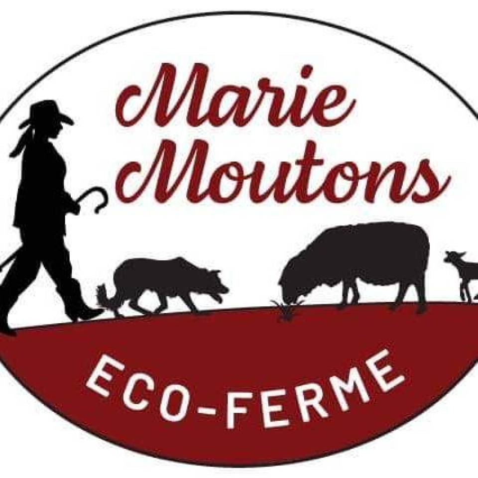 Ferme Marie Moutons Inc 