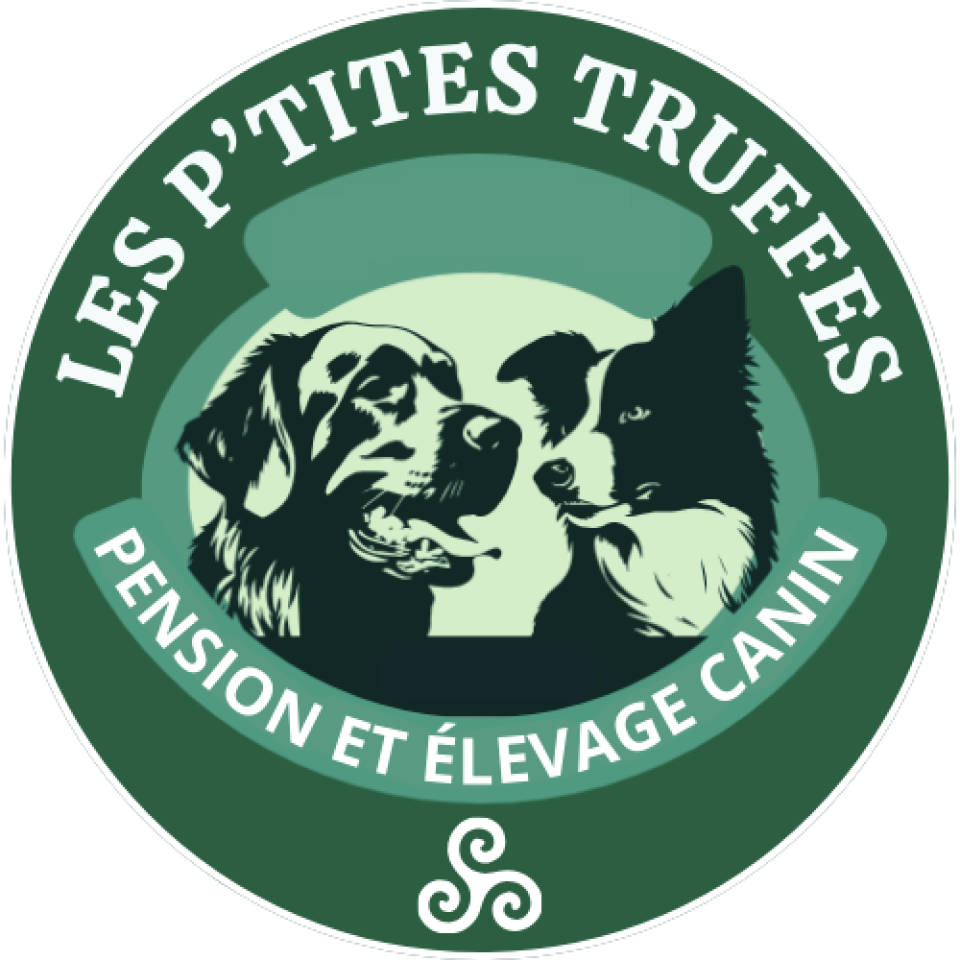Les p'tites truffes