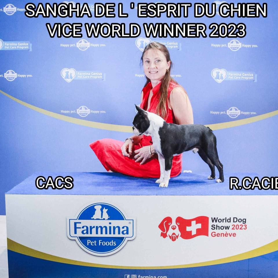 De l'Esprit du Chien