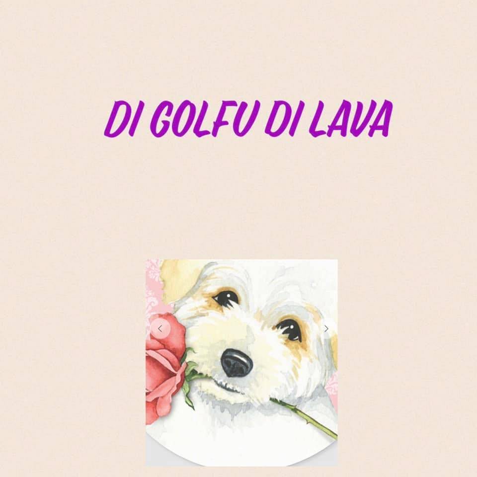 Élevage Di Golfu Di Lava