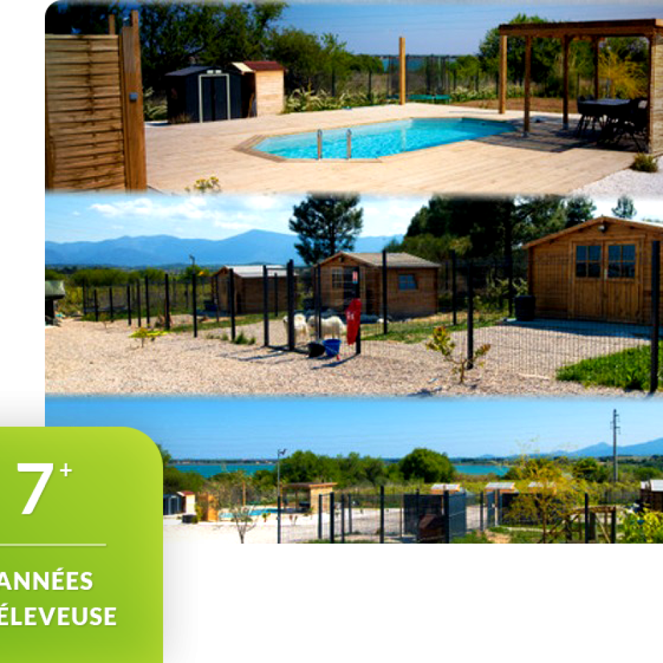 Elevage en pleine nature