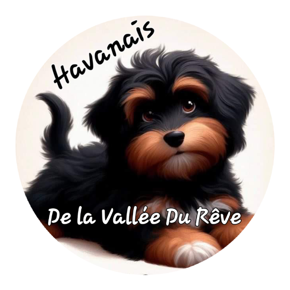 De la Vallée du Rêve