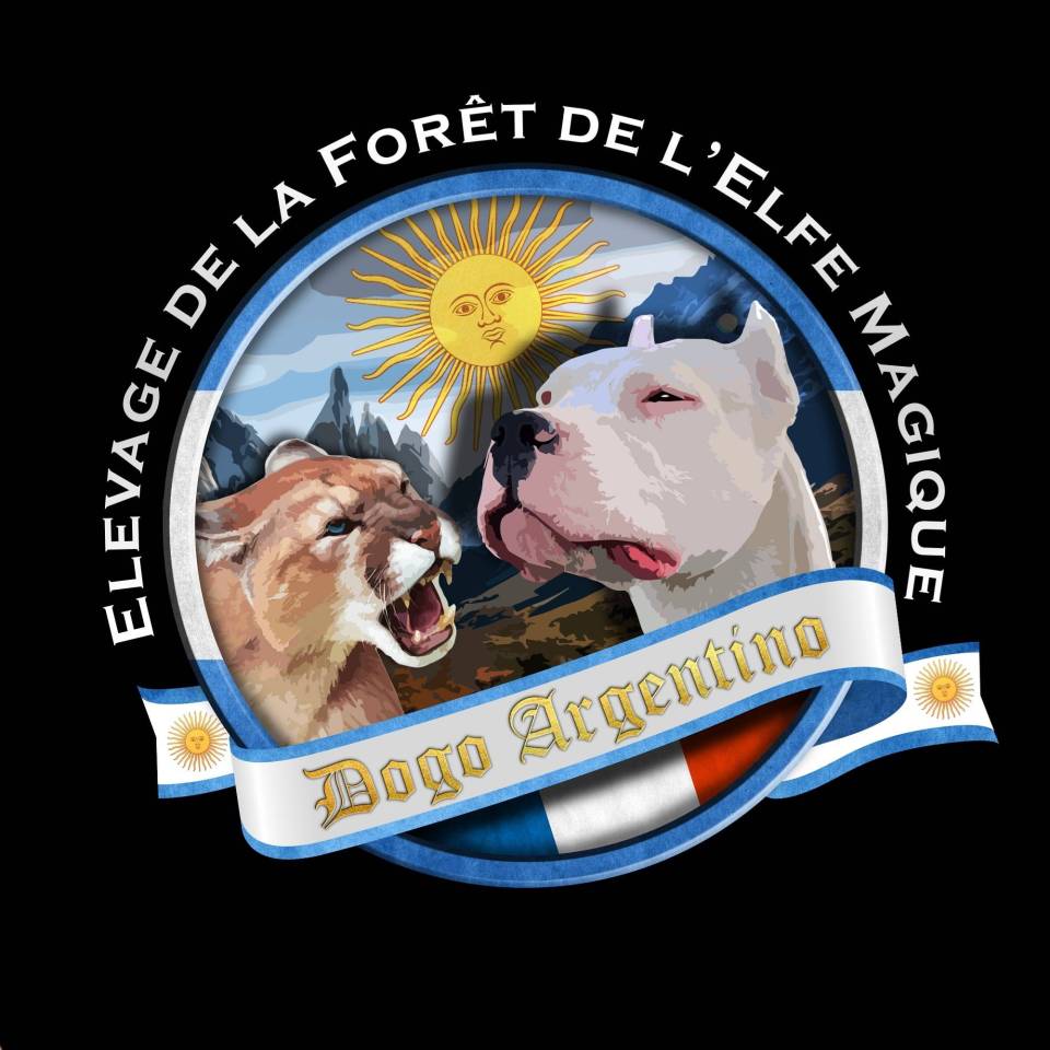 De la Fort de l'Elfe Magique