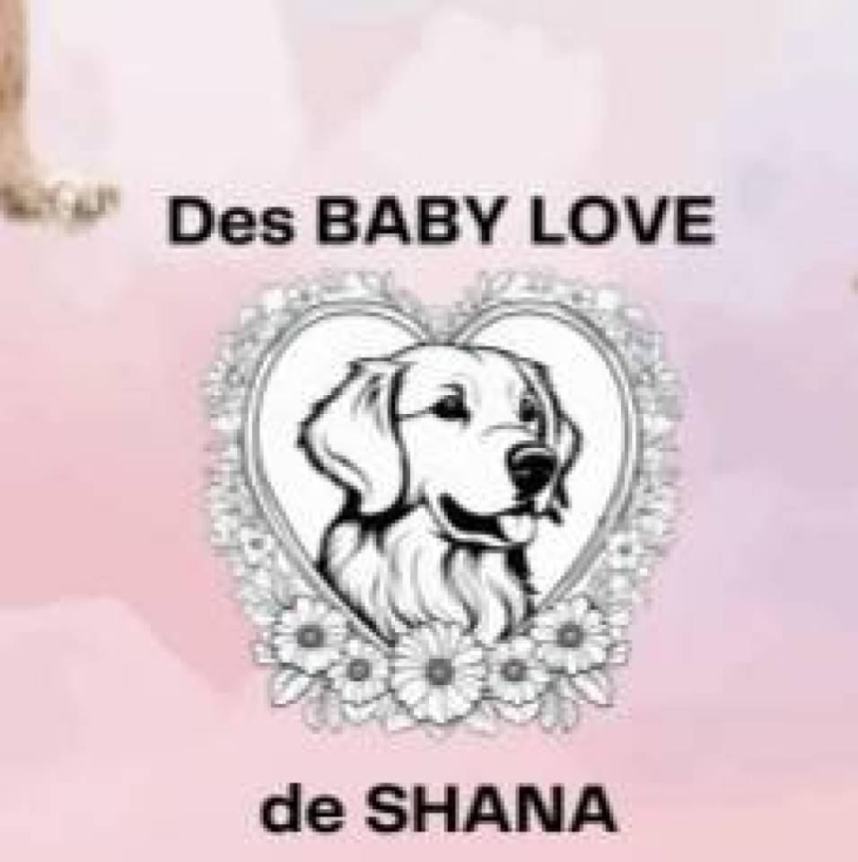 Des Baby Love de Shana