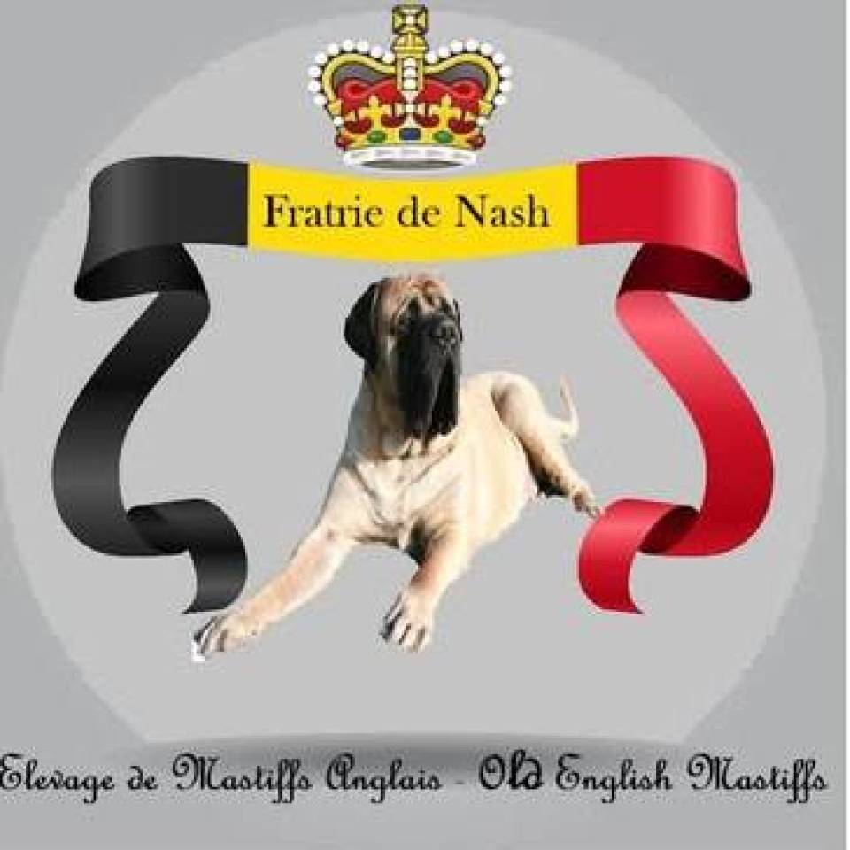 Fratrie de Nash