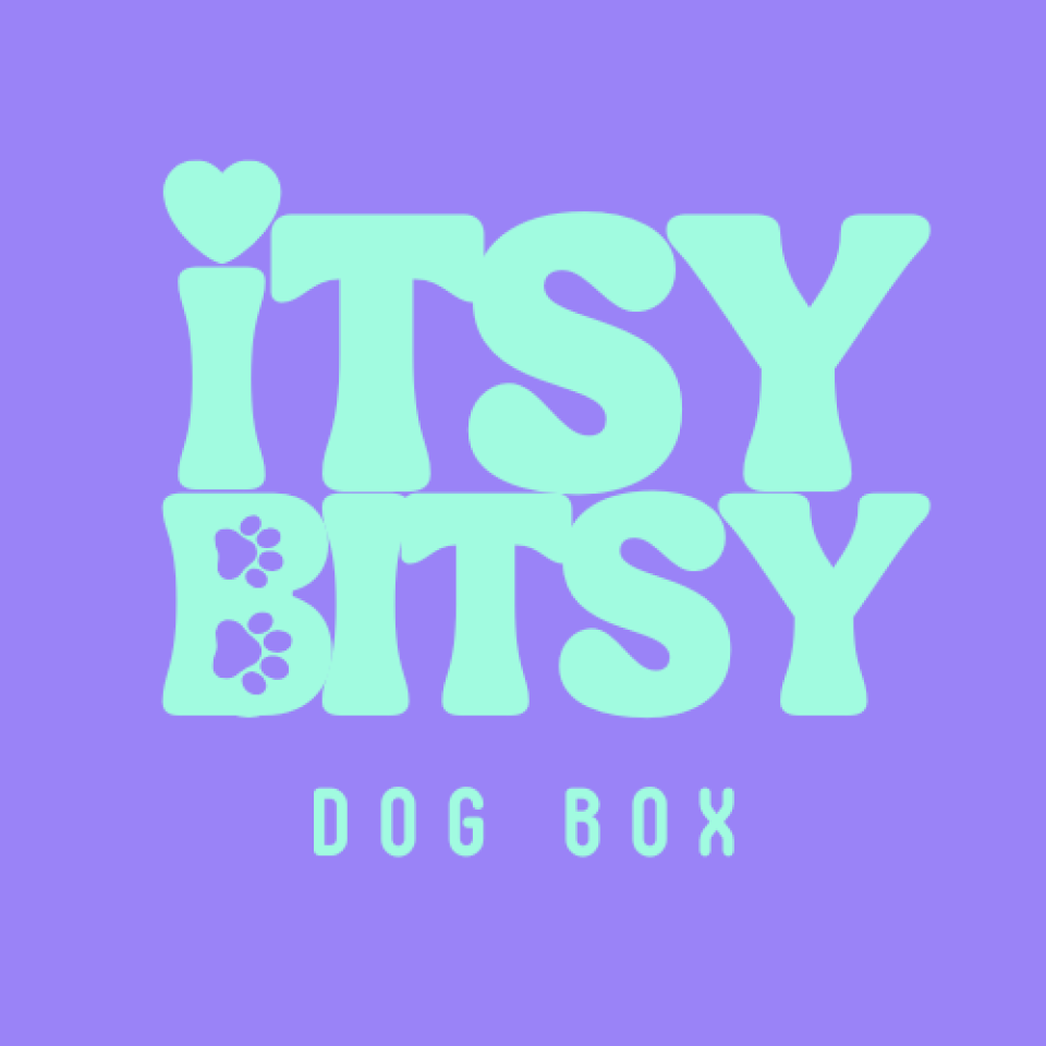 Itsy Bitsy Dog Box