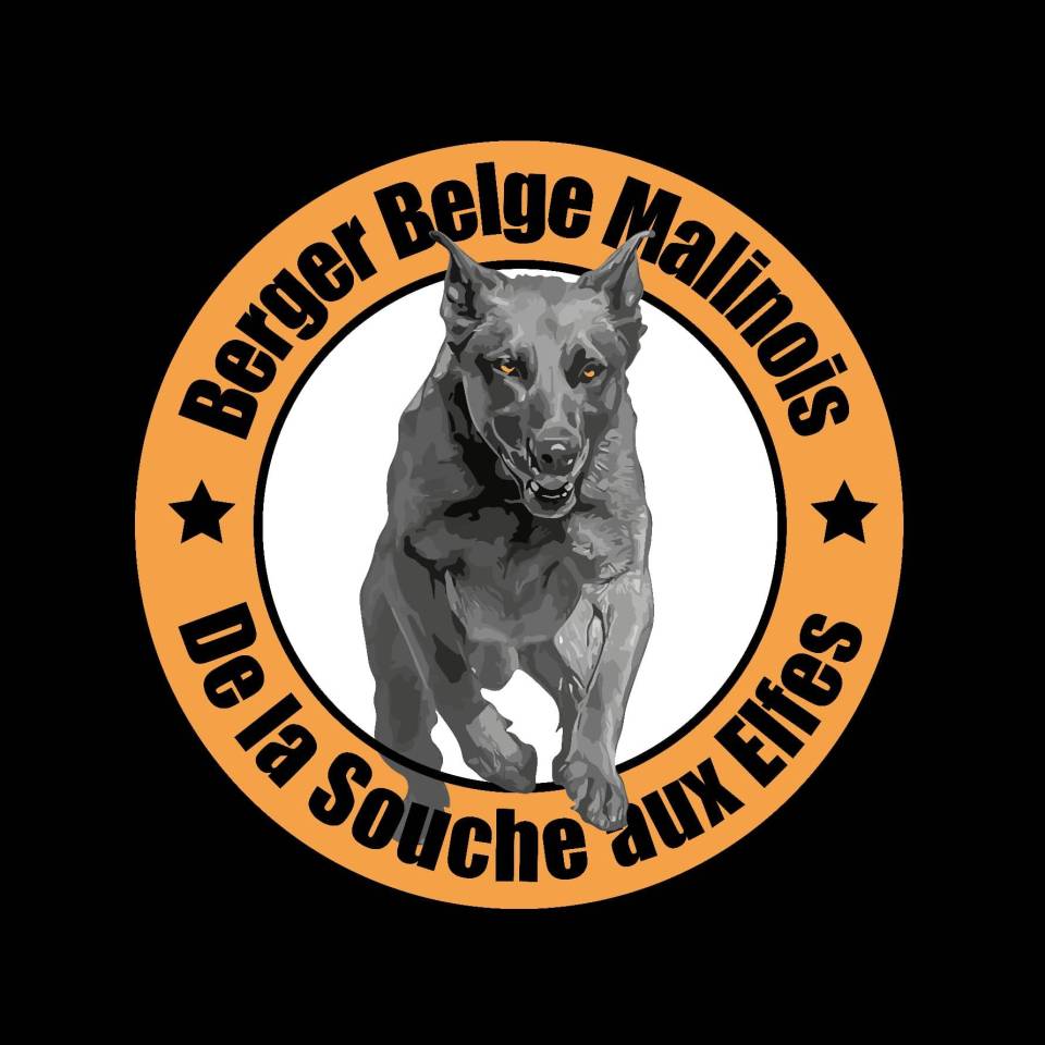 Élevage de la Souche aux Elfes