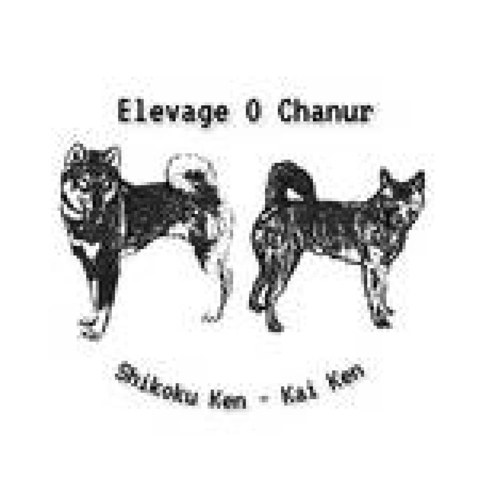 Shikoku et Kai Elevage O Chanur