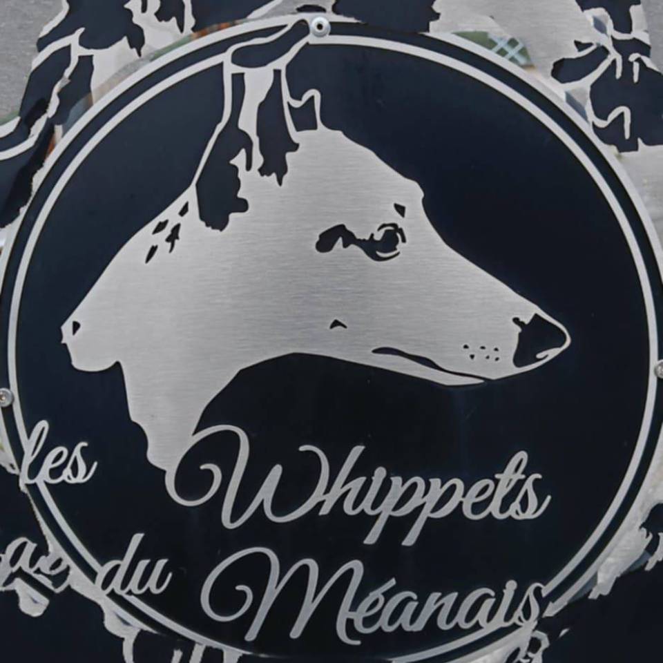 Les Whippets du Méanais