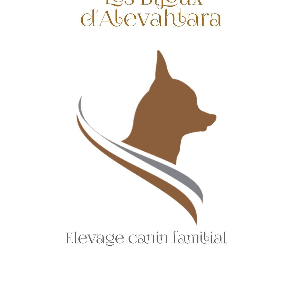 Les Bijoux d'Alevahtara 