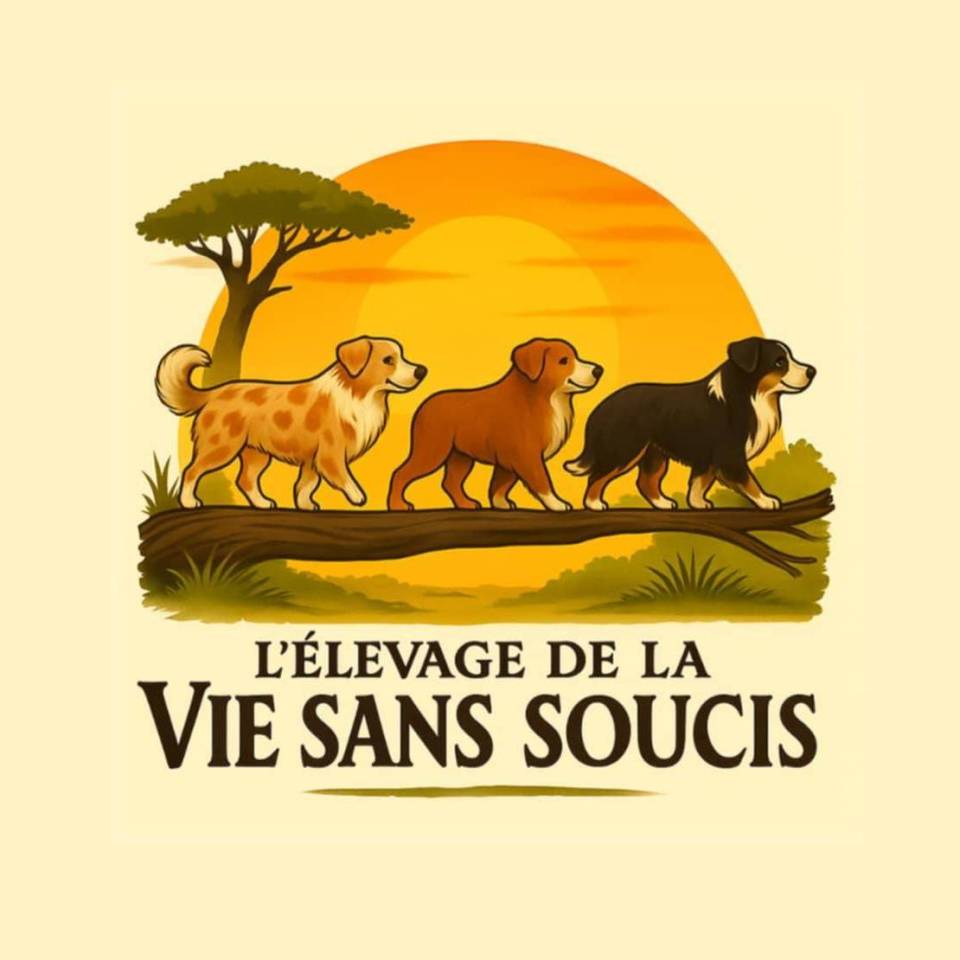De la Vie sans Soucis