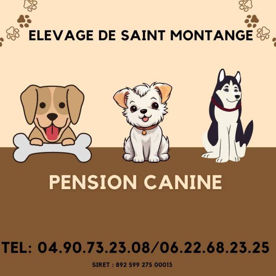 Elevage de Saint Montange