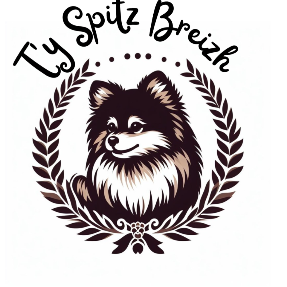 Ty'Spitz Breizh 