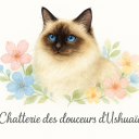 Chatterie des Douceurs d’Ushuaïa