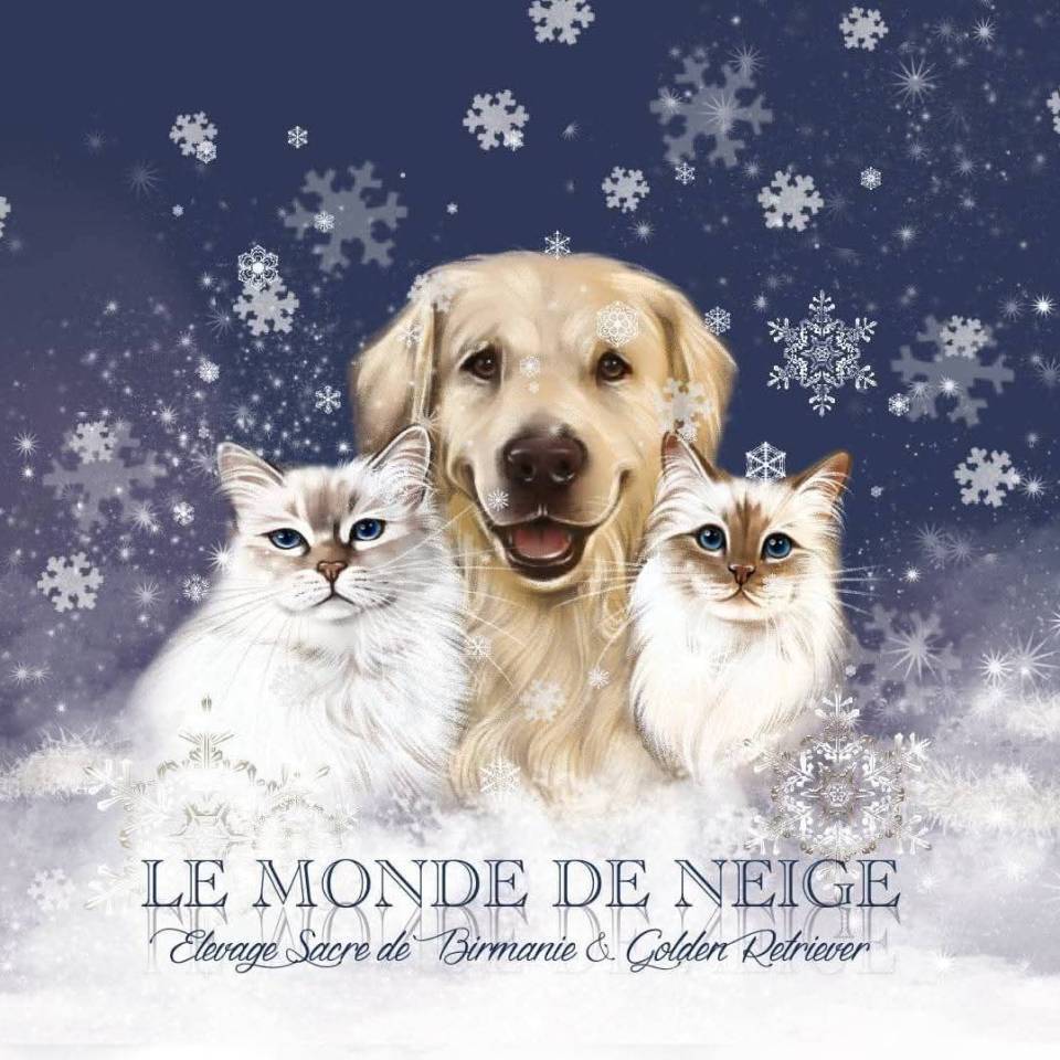 Le Monde de Neige