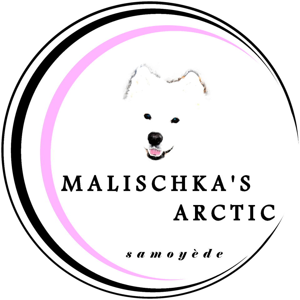 Malischk'as Arctic